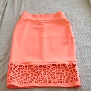 Beautiful Stretch Skirt